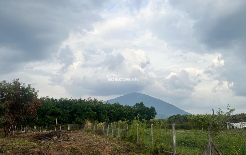 Bán đất hơn 11.000 m2 cây hàng năm TP Tây Ninh. Ô tô đi tới đất. View núi Bà. Tặng căn nhà cấp 4