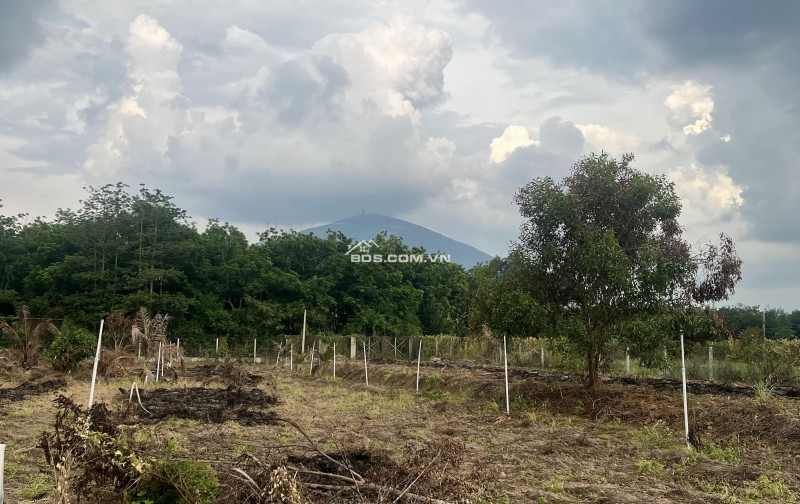 Bán đất hơn 11.000 m2 cây hàng năm TP Tây Ninh. Ô tô đi tới đất. View núi Bà. Tặng căn nhà cấp 4