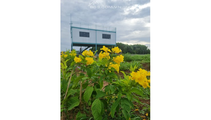 Cần bán 1,2ha đất Long Tân ngay hồ Suối Môn