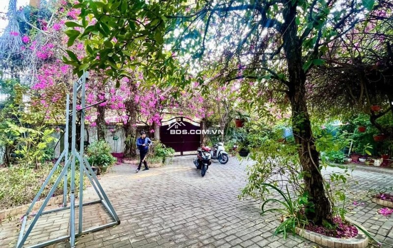 Bán đất tặng biệt thự sân vườn 1200m2 MT Huỳnh Tấn Phát, Nhà Bè, 64 tỷ 8