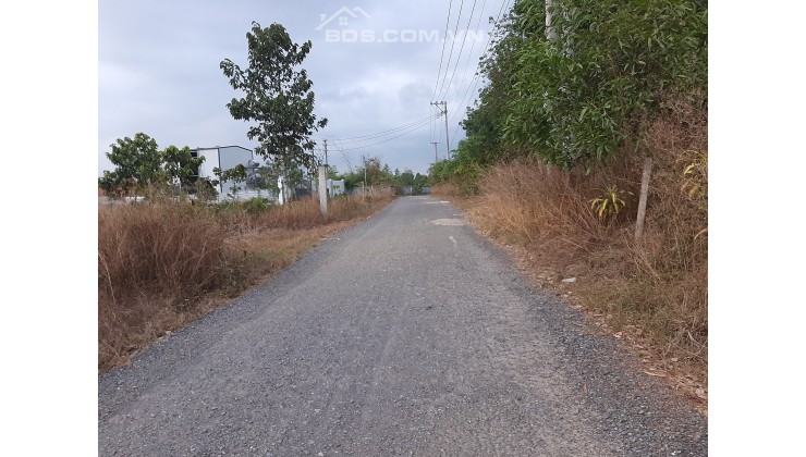 Bán đất sân bay Long Thành Đồng nai siêu dẹp giá tốt , mua ngay sẽ có lãi.