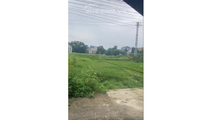 Chính chủ cần bán mảnh đất tại thị trấn Thắng, Hiệp Hoà, Bắc Giang