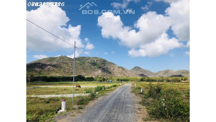 TT Phước Hải view núi Minh Đạm, 689m2 có 315tc, ngang 33m, ra biển 1km, chỉ 3ty7