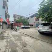 Cần bán 50m2 đất thổ cư Ô TÔ DỖ mặt tiền 5m nở hậu tại Ngọc Chi, Vĩnh Ngọc