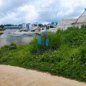 Đất Mai Anh Đào - Phường 8 - Đà Lạt