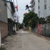 132M-VĨNH NGỌC-ĐÔNG ANH-CẠNH CẦU NHẬT TÂN-THÀNH PHỐ THÔNG MINH