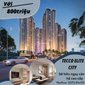 Siêu phẩm đầu tư Tecco Elite City Chỉ từ 800tr sở hữu ngay căn hộ cấp, tỷ suất sinh lời cao