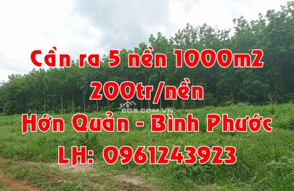 SỈ 5 NỀN 200TR/NỀN/1000M2 TẠI HỚN QUẢN, BÌNH PHƯỚC