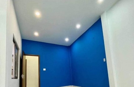 NHÀ ĐẸP 2 TẦNG BTCT - GẦN KCX TÂN THUẬN , HUỲNH TẤN PHÁT Q7, NGANG CHUẨN 4.3M, 53M2, CHỈ NHỈNH 4 TỶ.