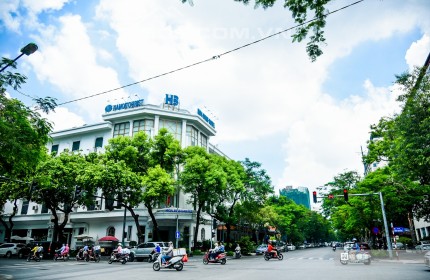 Nhà Phố Lý Thường Kiệt 120m2, Mặt Tiền 12m Lô Góc ô tô chạy vòng quanh.