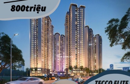 Siêu phẩm đầu tư Tecco Elite City Chỉ từ 800tr sở hữu ngay căn hộ cấp, tỷ suất sinh lời cao