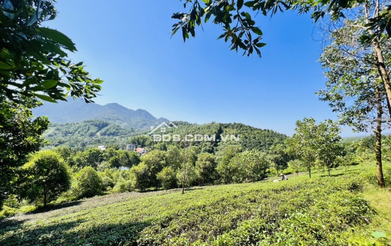 Bán đất nghỉ dưỡng Yên Bình, 11000m2 view thung lũng