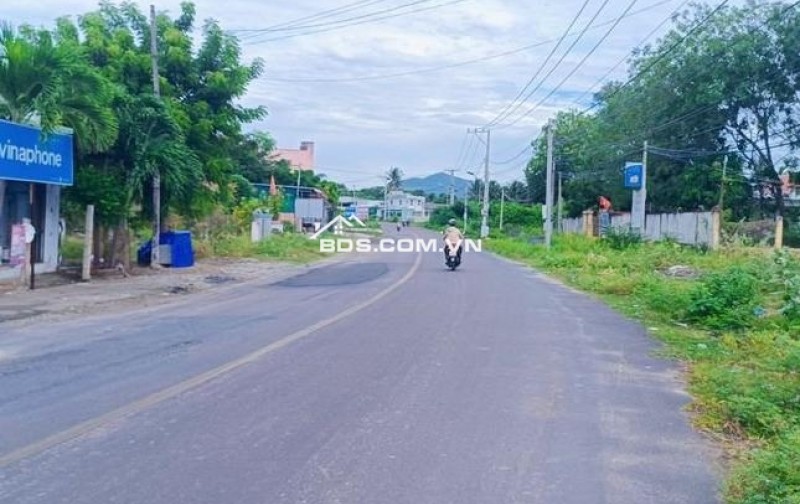 Bán đất mặt tiền đường Trần Hưng Đạo, Lạc Tánh, Huyện Tánh Linh, tỉnh Bình Thuận