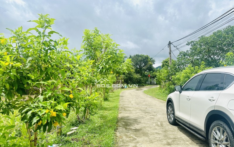 Đất phẳng - View cao tại Yên Bài, Ba Vì, DT2662m2, trục chính liên thôn