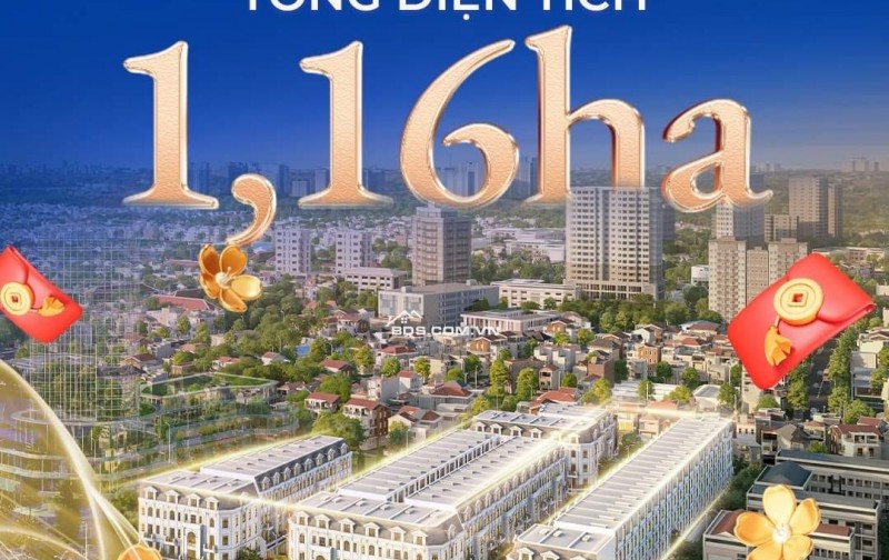 thái bình diamond city, p.trần hưng đạo, tp.thái bình. giá đầu tư f0