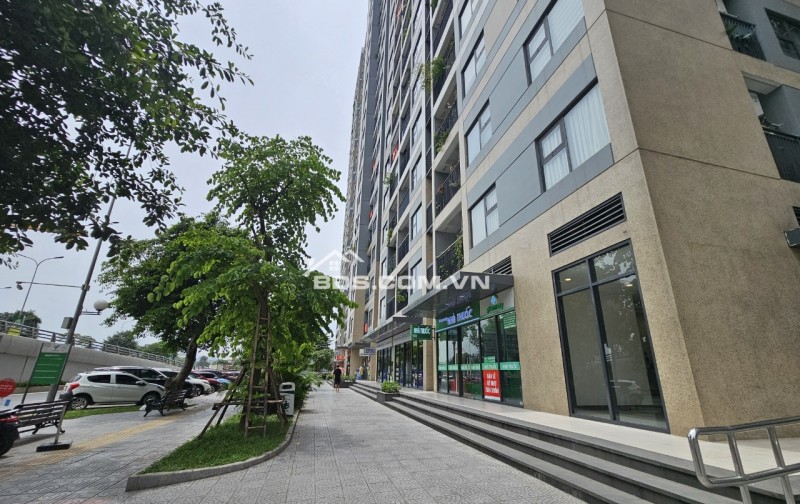 Xu hướng mới nhất 2024, shophouse kinh doanh dòng tiền 80tr/th, diện tích 60m