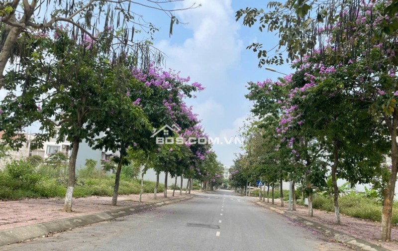Khu đô thị Nam Vĩnh Yên
