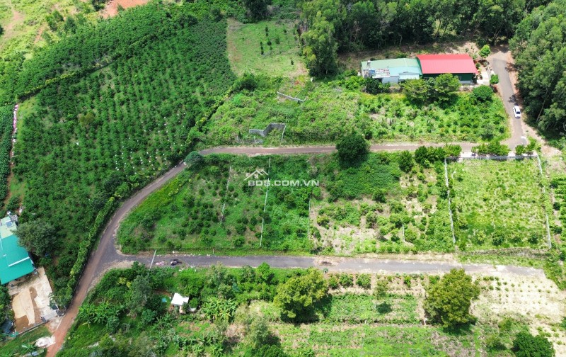 Cần Bán Lô Đất Đường Lý Thường Kiệt 1000m2 Giá 3 Tỷ.