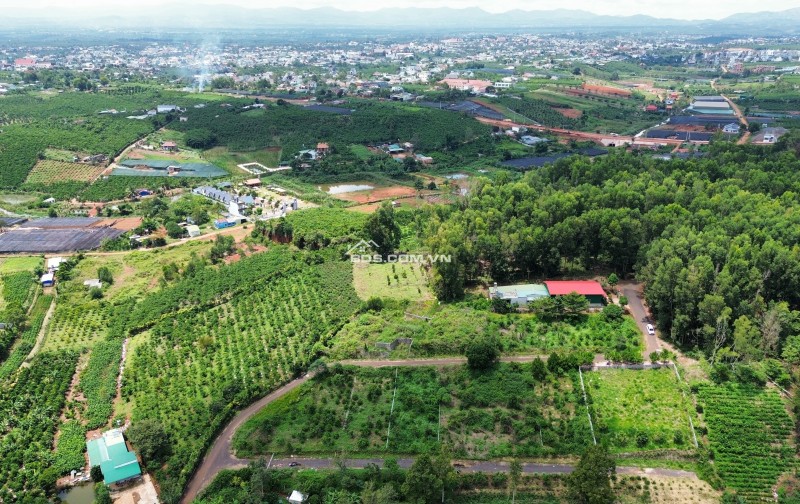 Cần Bán Lô Đất Đường Lý Thường Kiệt 1000m2 Giá 3 Tỷ.