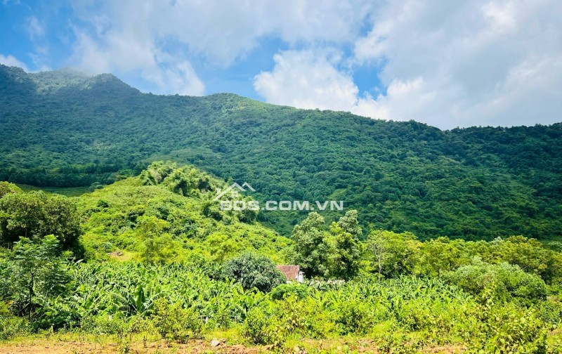 Nghỉ dưỡng view núi, view thung lũng cực đẹp, DT 530m2, đơn giá mềm