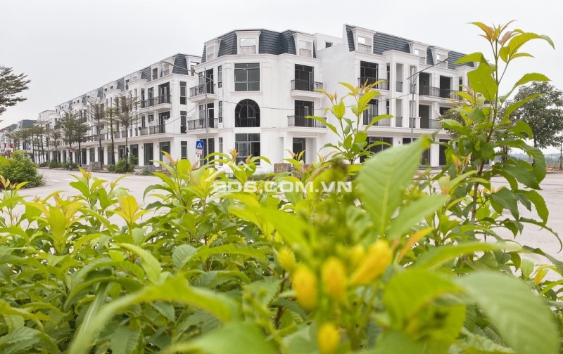 HUD Mê Linh Central -Tọa độ độc tôn - Giao thương Thịnh Vượng Nhà vườn view công viên 135m2