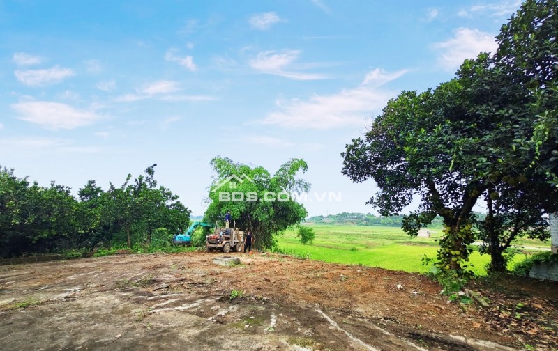 Lô đất view cánh đồng bát ngát, Hoà Thạch, Quốc Oai, Hà Nội