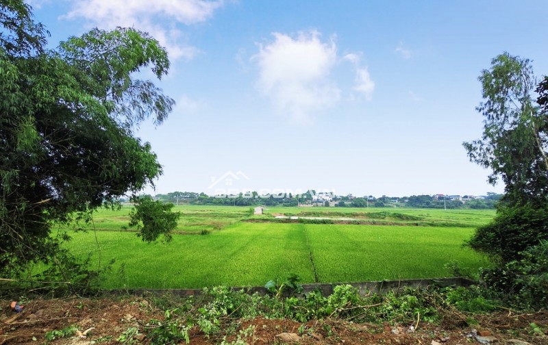 Lô đất view cánh đồng bát ngát, Hoà Thạch, Quốc Oai, Hà Nội