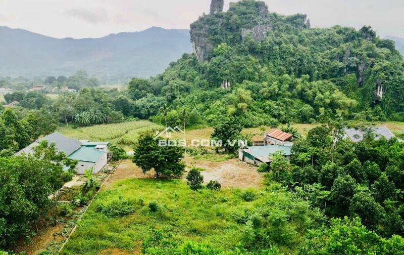 Cần bán 2000m tại Lương Sơn, Hoà Bình, Giá đầu tư vô cùng hợp lý.