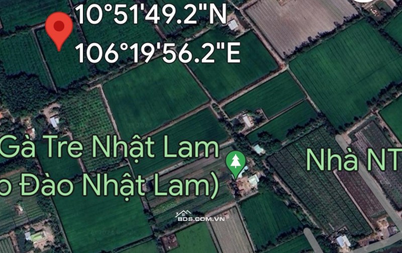 Cần bán lô đất Thổ cư 1001m2 Ấp An Hòa, xã Bình Hòa Bắc, Đức Huệ, Long an