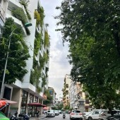 Bán nhà Hoàng Cầu, oto, kinh doanh, full tiện ích, 52m * 4 tầng.