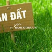 Giá rẻ nhất đường VĐ 3.5