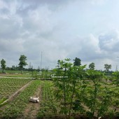 ĐẤU GIÁ X8 HÀ PHONG, LIÊN HÀ, ĐÔNG ANH - HẠ TẦNG SIÊU ĐẸP
Ngay gần trường THPT Liên Hà, UBND xã Liên Hà