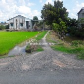 Chính chủ bán rẻ lô đất 923m2 full thổ cư Ấp Chánh, xã Bình Hòa Bắc, Đức Huệ Long an
