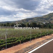 CẦN BÁN LÔ ĐẤT ĐƯỜNG NHỰA XÃ LIÊN HIỆP - ĐỨC TRỌNG - LÂM ĐỒNG