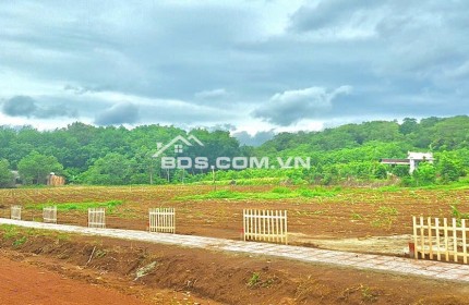 250M2 ĐẤT THỔ CƯ GẦN KHU DU LỊCH SINH THÁI VIEW HỒ