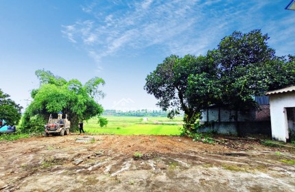 Lô đất view cánh đồng bát ngát, Hoà Thạch, Quốc Oai, Hà Nội