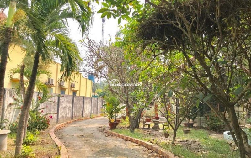 MT Nguyễn Văn Bứa cách QL22 chưa đến 1km 20x65 1266m2 đất và nhà Giá 30.5 tỉ. Liên hệ a Thiện 0914864379