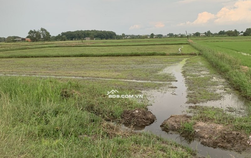 2.5 Tỷ, 2257m2 đất lúa tại Đức Hòa Thượng, Đức Hòa, Long An, sổ có đường, lên thổ được, cách đường 823D chỉ 750m