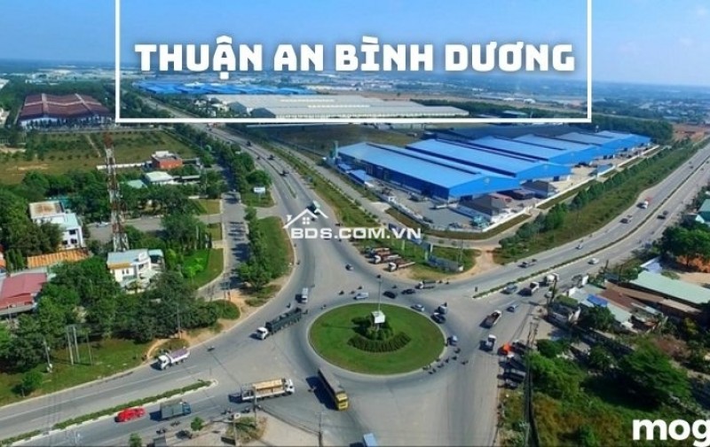 Mua đất, căn hộ tại Phường Vĩnh Phú, Thuận An, Bình Dương