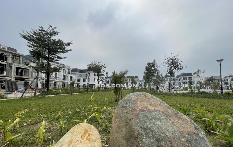 Biệt thự song lập 300m2, căn góc 3 mặt thoáng, view Công viên, đẹp như mơ tại HUD Mê Linh, giá chênh nhẹ sau phiên đấu giá của CĐT.