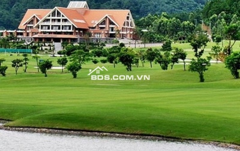 Bán đất biệt thự Sân golf Tam Đảo có nhiều cây thông nhiều năm tuổi