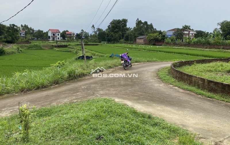 Đất full thổ cư, sẵn sổ, lô góc, đường ô tô, view ao hồ thoáng mát - THÙY SÓC SƠN