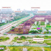 Độc nhất 75m2 mặt đường Trịnh Văn Bô view vườn hoa & ngã 5, giá đầu tư quá tốt