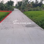 Hàng ngộp, bán lô thổ 10x27.5, giá 750tr TL, tại Tân Phước Tây, Tân Trụ, Long An.