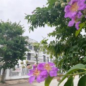 BIỆT THỰ ĐƠN LẬP 375M2, GIÁ CHỈ 50TR/M2 TẠI HUD MÊ LINH CENTRAL