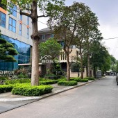 Gia đình chuyển trường cho cháu bán căn nhà phân lô, ô tô phố Vĩnh Phúc- Ba Đình, Hà Nội