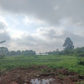 Sở Hữu Ngay Lô Đất Vàng Vị Trí Cực Đẹp tại Thủ Dầu Một Bình Dương Giá Đầu Tư