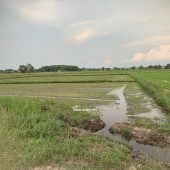2.5 Tỷ, 2257m2 đất lúa tại Đức Hòa Thượng, Đức Hòa, Long An, sổ có đường, lên thổ được, cách đường 823D chỉ 750m