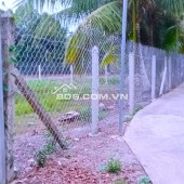 Bán Đất Chính Chủ 500m2  Xã An Sơn, Thuận An, Bình Dương   Diện tích 15.4X28m Thổ cư 100m2   Đất bằng phẳn , có trồng một ít cây ăn trái