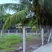 Chính Chủ bán 500m2 Đất mặt tiền đường An Sơn 32, Xã An Sơn, Thuận An, Bình Dương Lh 0949866116